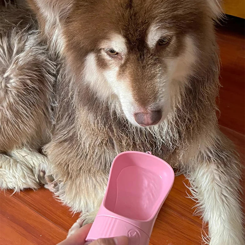 2- in-1 Portable Dog Water Bottle - Leakproof and Travel Ready