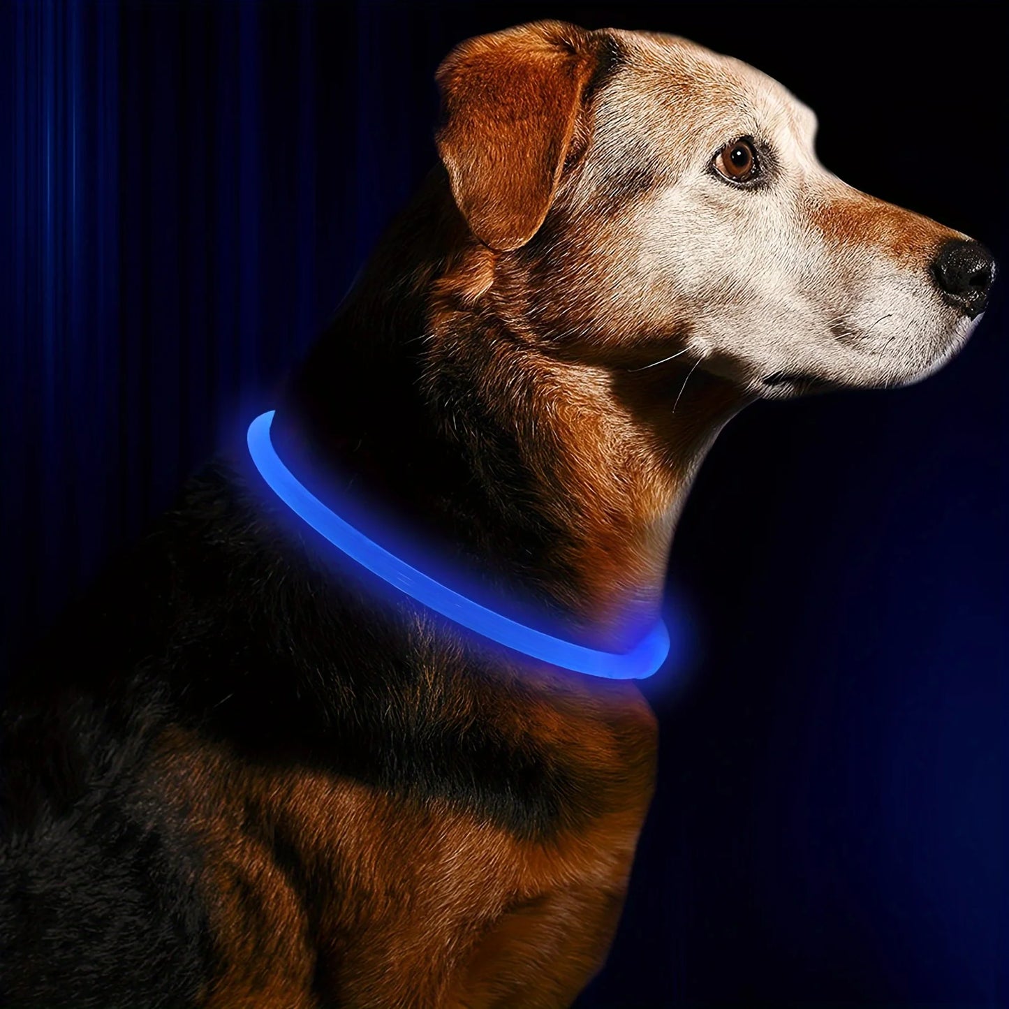 Pet Dog LED Light Collar Luminous Rechargeable Dog Necklace Collar