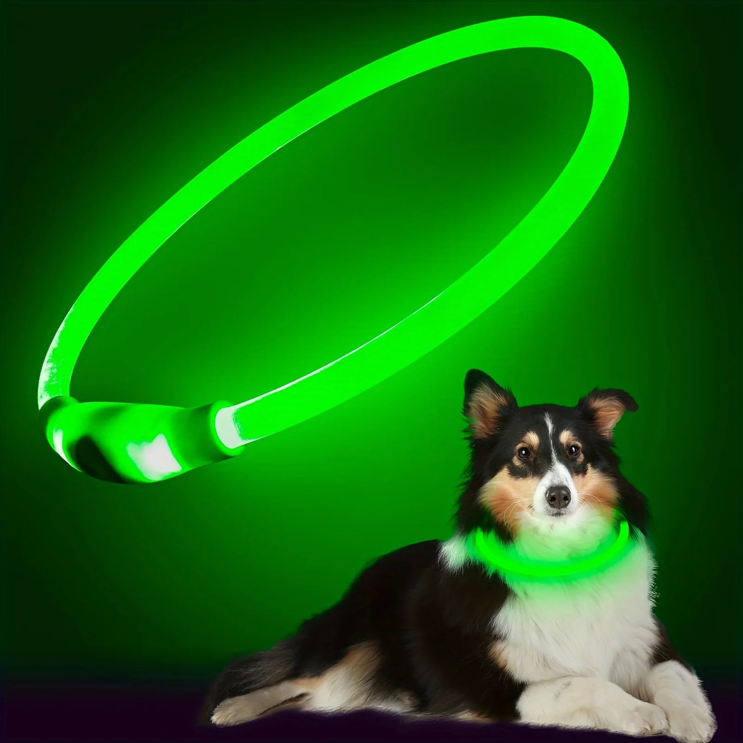 Pet Dog LED Light Collar Luminous Rechargeable Dog Necklace Collar