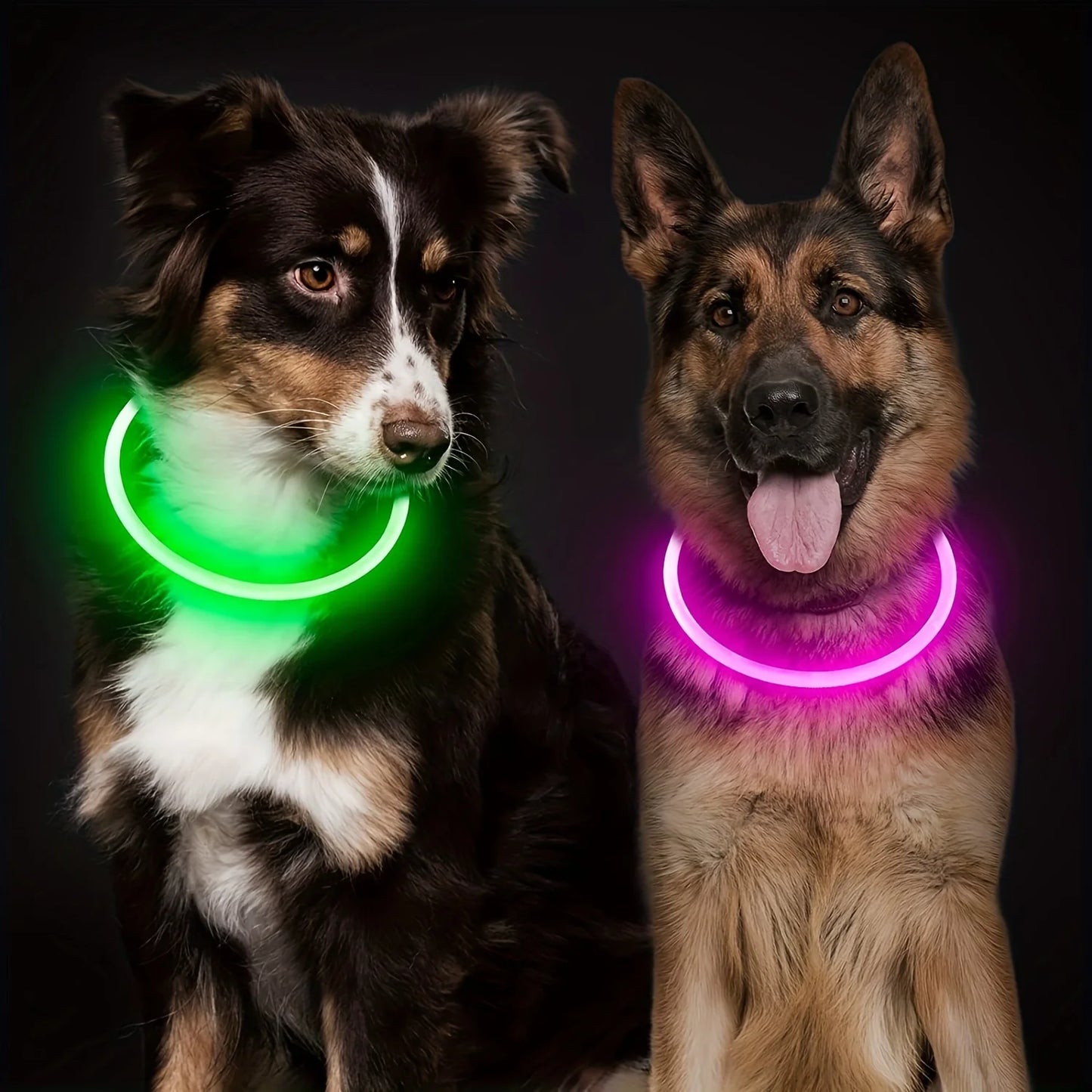 Pet Dog LED Light Collar Luminous Rechargeable Dog Necklace Collar